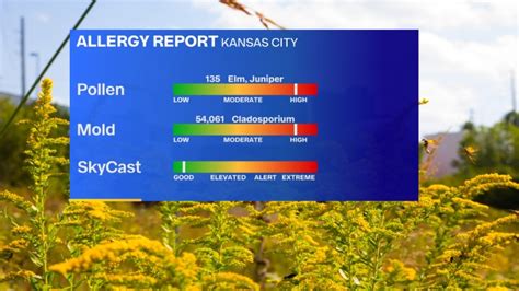 pollen count in kansas|mold count today kansas city.